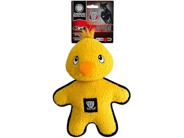 American Kennel Club Plush Dog Toy with Squeaker- Duck