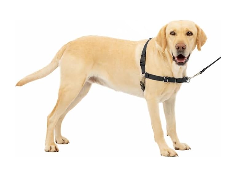 Petsafe Easy Walk No Pull Harness Black Large