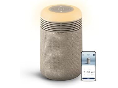 BLUEAIR HEPA Purifier & Sunrise Alarm Clock