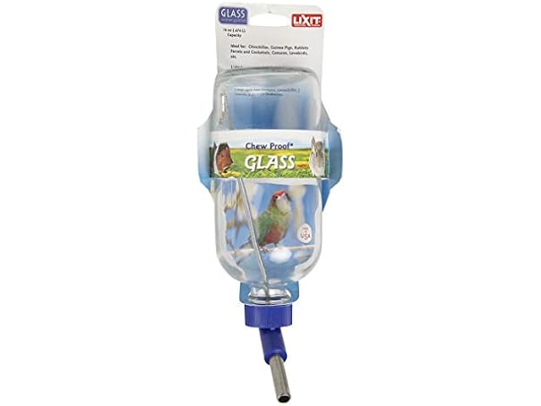 LIXIT Chew Proof Glass Water Bottle 16oz