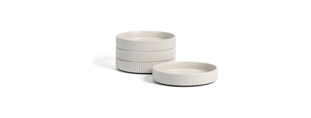 Haven Modern Stoneware 4-Piece Pasta Bowls
