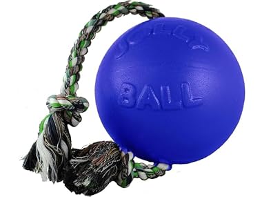 Jolly Pets Romp-N-Roll Ball Color: Blue, Size