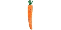 Jigglerz Carrot Toy