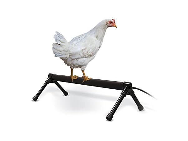 K&H Pet Products Thermo Heated Chicken