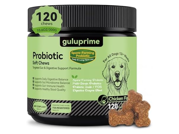 Probiotics for Dogs