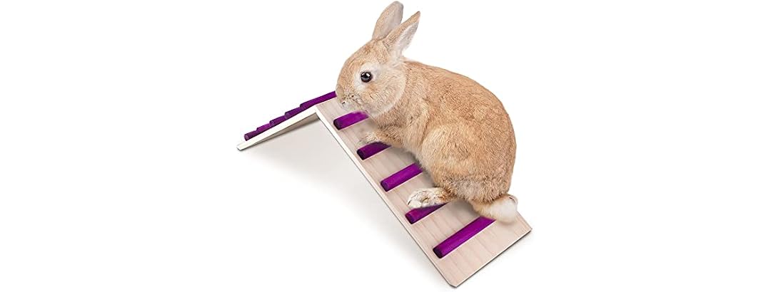 KREVEROY Wood Bridge for Small Animal Cage