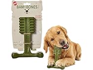 SPOT Bam-Bones Plus Toothbrush Dog Chew Toy