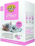 Precious Cat Kitten Attract Kitten Training L