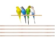 New Natural Wood Perches for Bird Cage, Many