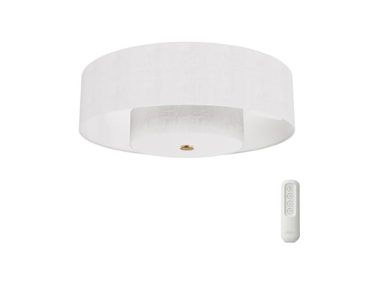 Hunter Fan 30" Fandelier w/ Light & Remote