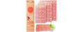 48 Pack Beeswax Organic Cotton Food Bags