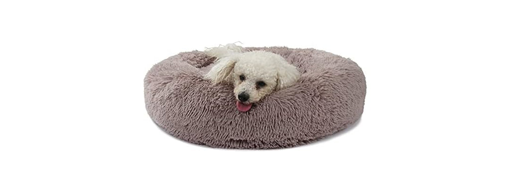 Dog Beds for Medium Dogs Washable Orthopedic