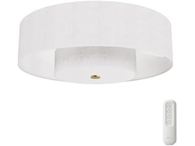 Hunter Fan 30" Fandelier w/ Light & Remote