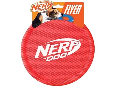 Nerf Dog Nylon Flyer Dog Toy, Flying Disc, Li
