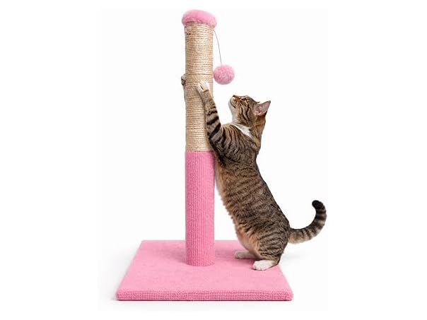 ASPCA Cat Scratching Post for Indoor Cats- Pink