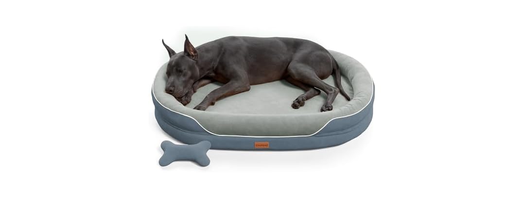 CWAWZ Dark Grey XXL Orthopedic Dog Bed 53"