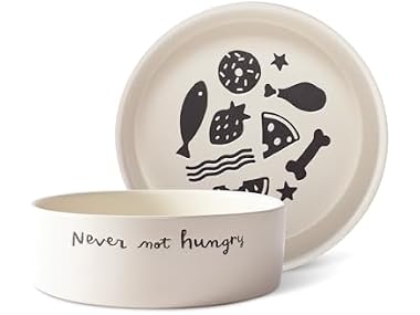 Fringe Studio Never NOT Hungry Wax Resist Ceramic Pet Bowl