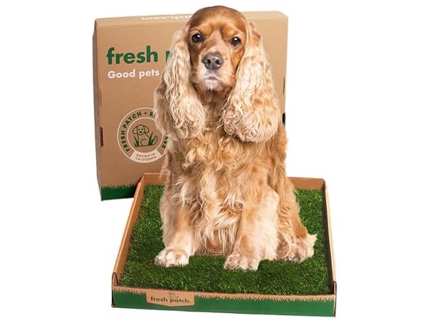 Fresh Patch Real Grass Patch for Dogs, Cats,