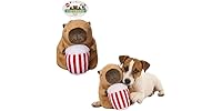 SPOT Capybara with Popcorn Plush Dog Toy