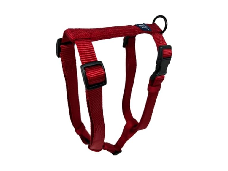 Hamilton Adjustable Comfort Nylon Dog