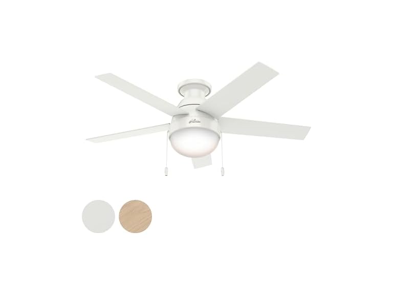 Hunter Fan 46" Contemporary w/ Light