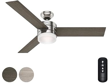 Hunter 54 Inch Contemporary Ceiling Fan