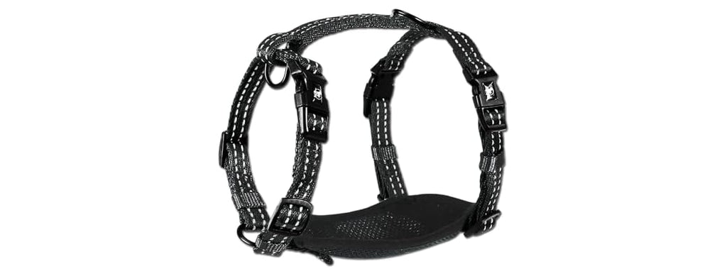 Alcott Essentials Adventure Pet Harness, Small