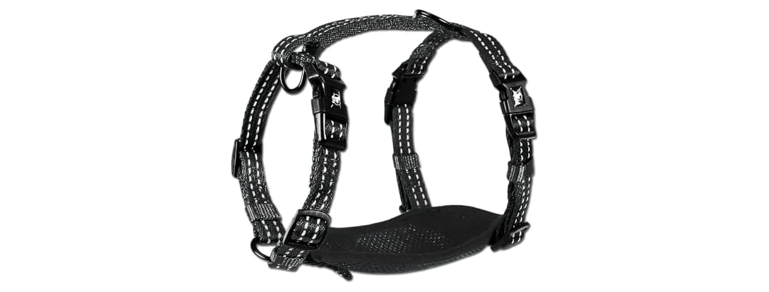 Alcott Essentials Adventure Pet Harness, Small