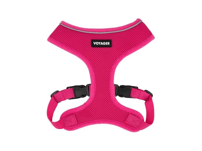 Voyager Aerolite Over The Head Dog Harness