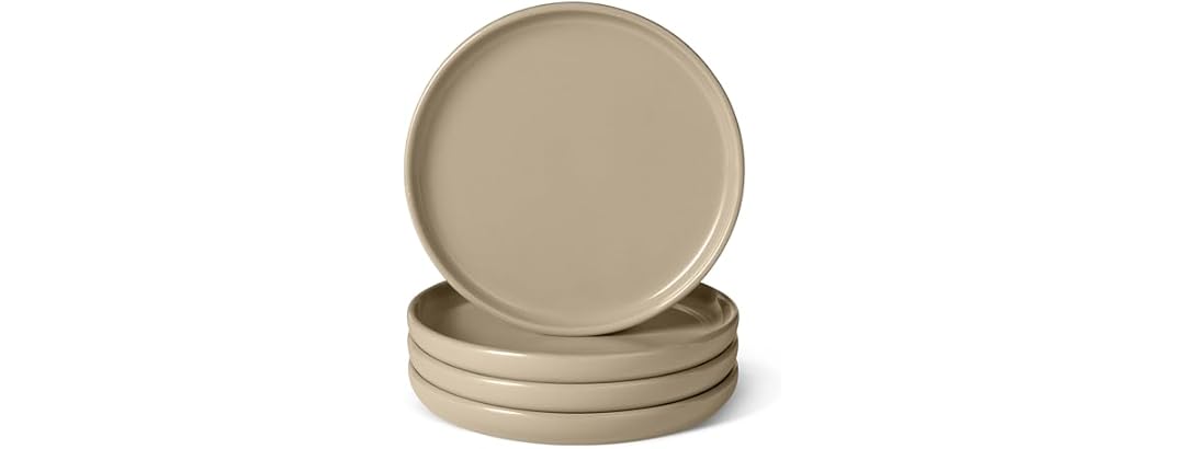 Amazon Basics Glazed Stoneware Salad Plates