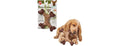 SPOT Bam-Bones Dental X-Bone Dog Chew Toy