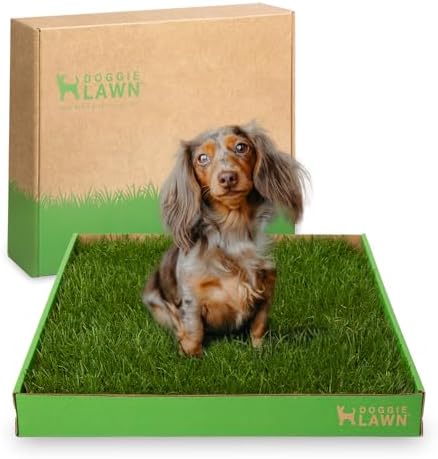 DoggieLawn Real Grass Puppy Pee Pads- 24 x 16