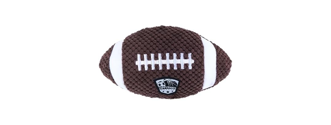SportsBallz Football