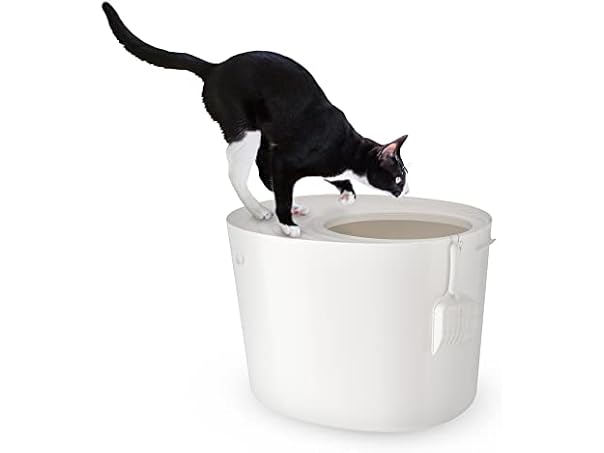 Iris Ohyama, Plastic Litter Box with Top Entr