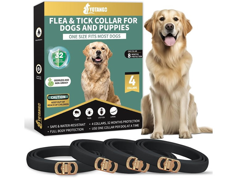 Flea & Tick Collar for Dogs 4-Pack