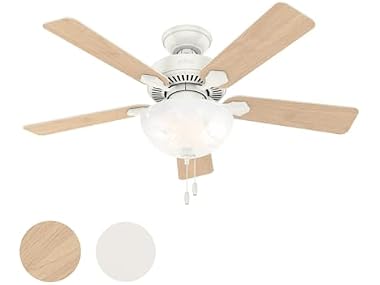 Hunter Fan 52" Vicien Fresh White Indoor