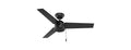 Hunter Fan 44" Pull Chain Ceiling Fan