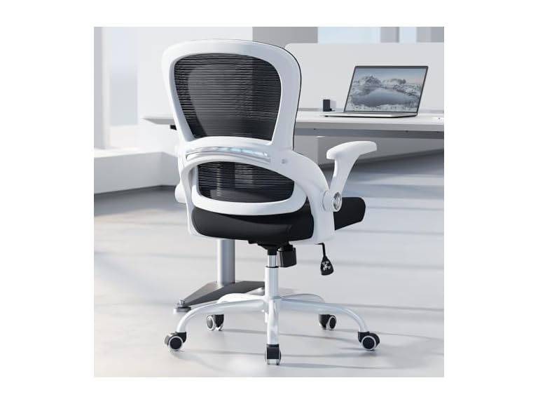 Office Chair - Ergonomic Office Chair