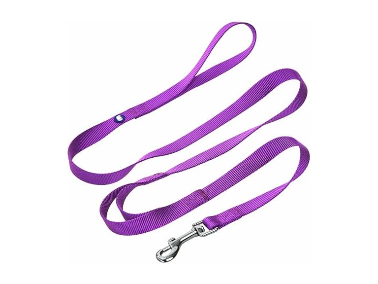 Blueberry Pet Essentials Double Handle Dog Leash
