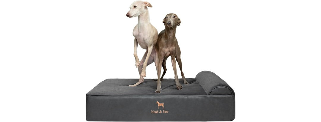 NOAH & PAW Orthopedic Dog Beds- Large