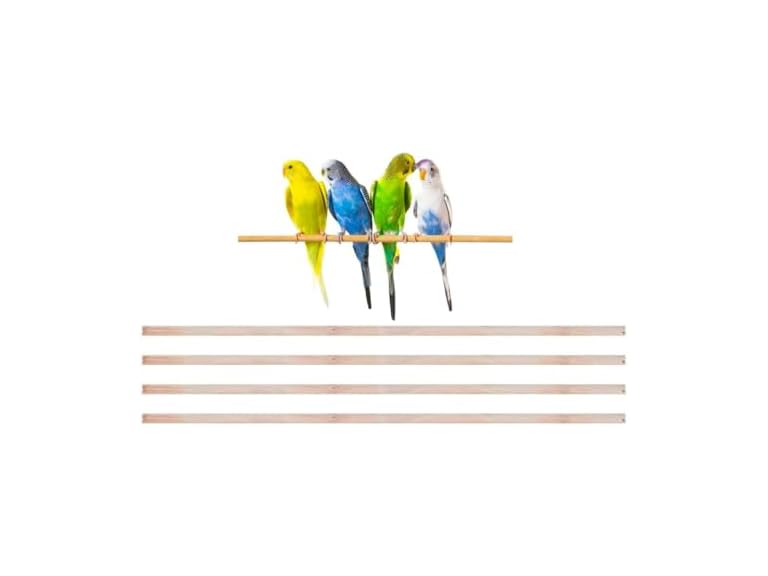 New Natural Wood Perches for Bird Cage, Many