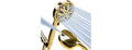 10-Mode Handheld Shower Head w/ 6ft Hose