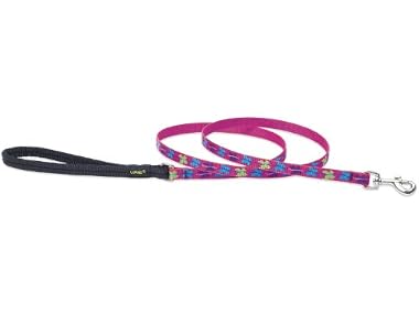 LupinePet Originals 1/2" Wing It 4-foot Padded Leash