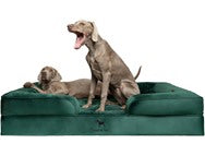 NOAH & PAW Dog/Cat Sofa- XXLarge