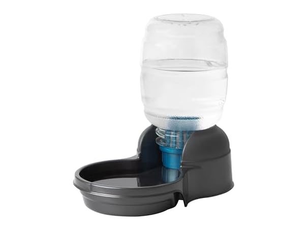 Petmate Replendish Automatic Dog Water Dispenser