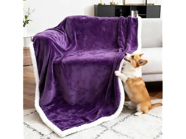 BoxZone Waterproof Dog Blanket- Purple White Large