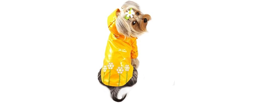 KLIPPO Dog/Puppy Daisy Waterproof Jacket