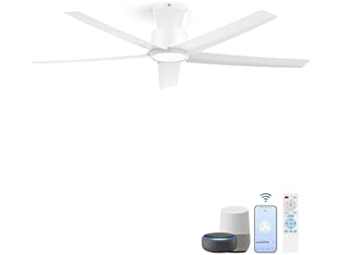 Smart Ceiling Fans