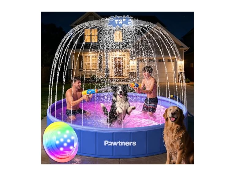 Pawtners Foldable Dog Pool