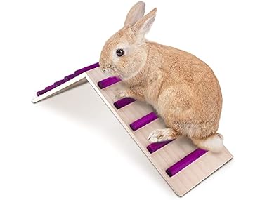 KREVEROY Wood Bridge for Small Animal Cage